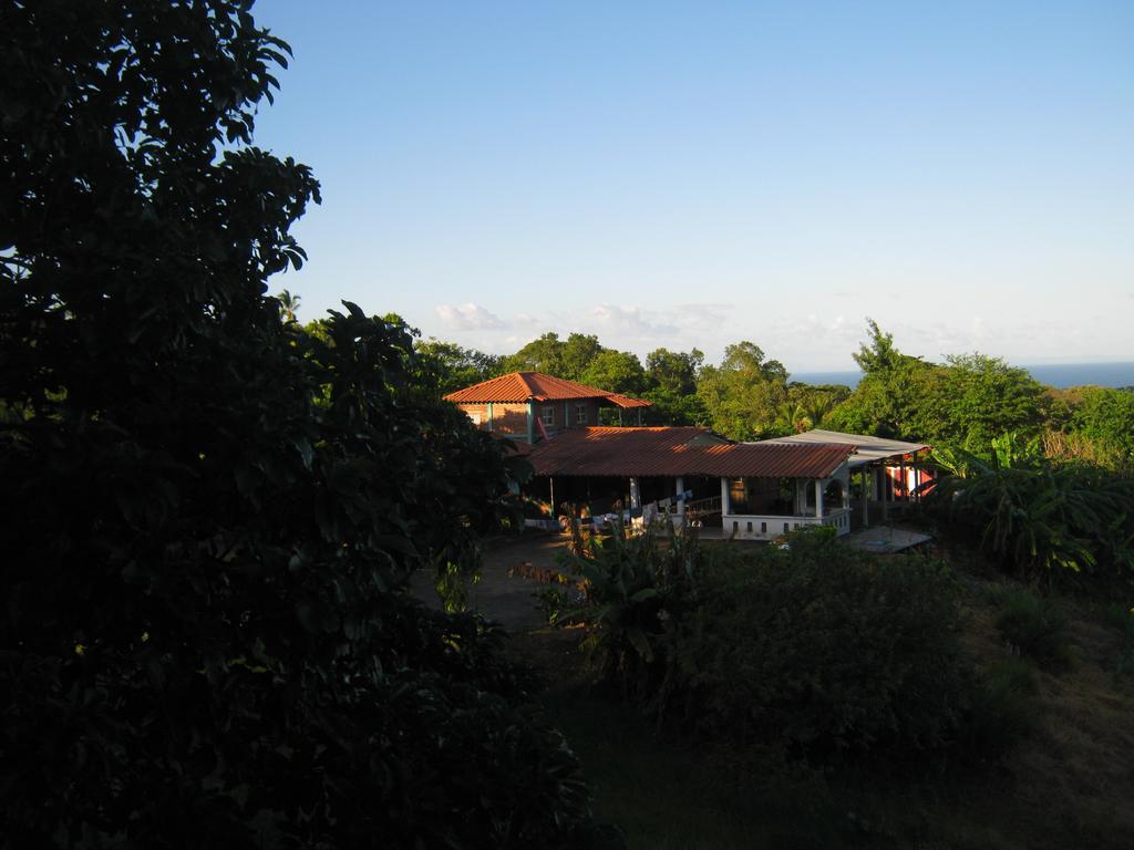 El Mirador Ecologico, Ometepe 호텔 Altagracia 외부 사진