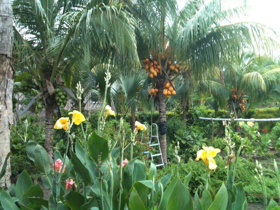 El Mirador Ecologico, Ometepe 호텔 Altagracia 외부 사진